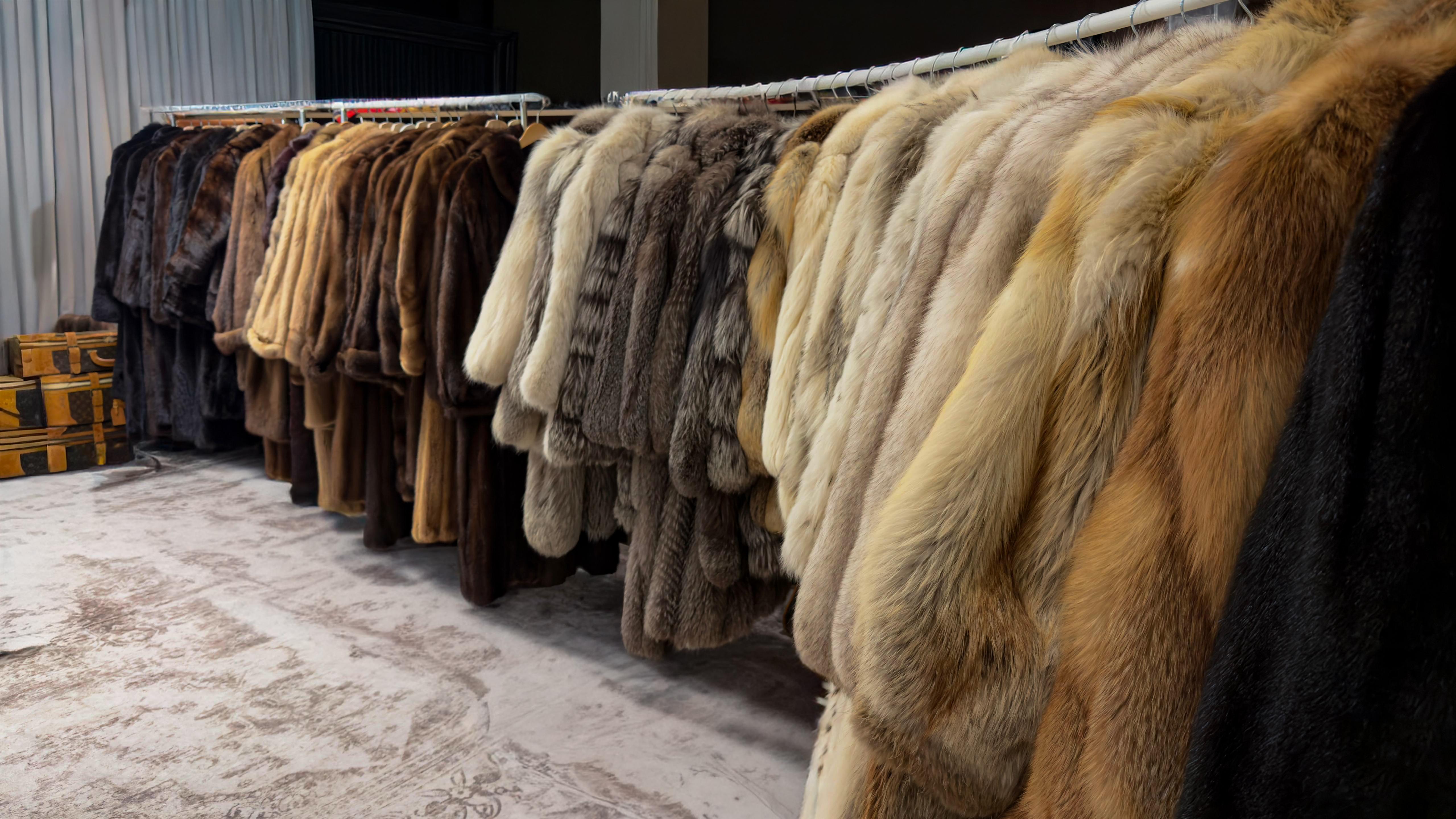 Vienna Showroom - Showroom Interior